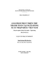 Giải pháp phát triển thẻ thanh toán tại Ngân hàng Xuất nhập khẩu Việt Nam