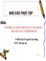 BÀI THUYẾT TRÌNH báo cáo THỰC tập tốt NGHIỆP tìm HIỂU về THÁP CHƯNG cất c 02 TRONG NHÀ máy xử lý KHÍ DINH cố