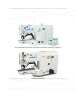 Bài Tập sưu tầm một số hình ảnh máy đính bọ