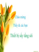 thuyết trình quá trình thiết bị 2   quá trình sấy tầng sôi