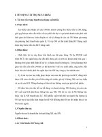 TIỂU LUẬN MÔN NGHIỆP VỤ NGÂN HÀNG THƯƠNG MẠI,TÍN DỤNG TÀI TRỢ XUẤT KHẨU