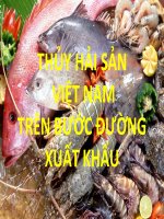 THỦY HẢI SẢN VIỆT NAM TRÊN BƯỚC ĐƯỜNG XUẤT KHẨU