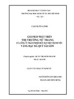 Giải pháp phát triển thị trường nữ trang của Công ty trách nhiệm hữu hạn một thành viên vàng bạc đá quý Sài Gòn