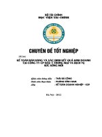 Kế toán Bán hàng và Xác định kết quả kinh doanh  tại Công ty cổ phần Đầu Tư thương mại và dịch vụ Sức Sống Mới