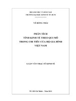 Phân tích tính kinh tế theo qui mô trong chi tiêu của hộ gia đình Việt Nam