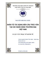 Nhân tố tác động đến cấu trúc vốn tại các ngân hàng thương mại Việt Nam