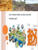 CÁC THÀNH PHẦN CƠ BẢN CỦA MÔI TRƯỜNG ĐẤT