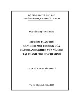 Luận văn thạc sĩ Mức độ tuân thủ quy định môi trường của các doanh nghiệp vừa và nhỏ tại TP. Hồ Chí Minh