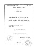 Ghép xương đồng loại đông khô thực nghiệm và ứng dụng lâm sàng