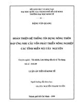 HOÀN THIỆN HỆ THỐNG TÍN DỤNG NÔNG THÔN ĐÁP ỨNG NHU CẦU VỐN PHÁT TRIỂN NÔNG NGHIỆP CÁC TỈNH MIỀN NÚI TÂY NGUYÊN