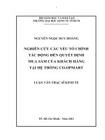 Nghiên cứu các yếu tố chính tác động đến quyết định mua sắm của khách hàng tại hệ thống coopmart