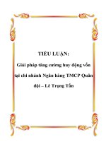 GIẢI PHÁP TĂNG CƯỜNG HUY ĐỘNG VỐN TẠI CHI NHÁNH NGÂN HÀNG THƯƠNG MẠI CỔ PHẦN QUÂN ĐỘI – LÊ TRỌNG TẤN