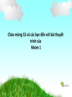 Bài thuyết trình về xơ thủy tinh - fiber glass