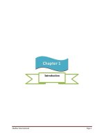 Internship report on merchandising activities of shelltex international