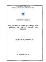 Giải pháp hoàn thiện quản trị nguồn nhân lực tại Công ty Cổ phần Vi cơ điện tử