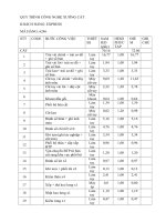 QUY TRÌNH CÔNG NGHỆ XƯỞNG CẮT