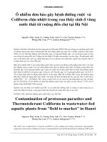 Ô nhiễm đơn bào gây bệnh đường ruột và coliform chịu nhiệt trong rau thủy sinh ở vùng nước thải từ ruộng đến chợ tại hà nội