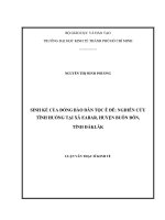 Sinh kế của đồng bào dân tộc Ê Đê  Nghiên cứu tình huống tại xã Eabar huyện Buôn Đôn, tỉnh Daklak