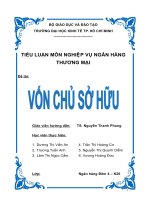 TIỂU LUẬN MÔN NGHIỆP VỤ NGÂN HÀNG. vốn chủ sở hữ