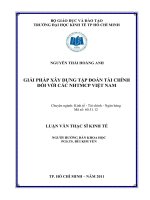 Giải pháp xây dựng tập đoàn tài chính đối với các NHTMCP Việt Nam