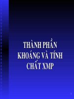 công nghệ sản xuất xi măng   thành phần khoáng và tính chất XMP