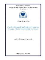 Các yếu tố ảnh hưởng đến động lực làm việc của nhân viên các doanh nghiệp tại thành phố Hồ Chí Minh