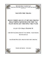 Hoàn thiện quản lý rủi ro trong hoạt động kinh doanh thẻ tại Ngân hàng Kỹ Thương Việt Nam