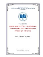 Hoạch định cấu trúc tài chính cho doanh nghiệp xuất khẩu thủy sản tỉnh Bà Rịa - Vũng Tàu