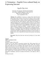 A Vietnamese – English Cross-cultural Study on Expressing Sarcasm