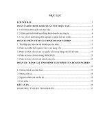 Phân tích tài chính Công ty cổ phần thương mại và hội chợ triển lãm VIASI