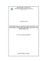 Giải pháp nâng cao chất lượng tín dụng tại ngân hàng TMCP công thương Việt Nam chi nhánh Daklak