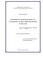 Giải pháp đẩy mạnh hoạt động của các Quỹ đầu tư phát triển địa phương ở Việt Nam