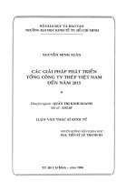 Các giải pháp phát triển Tổng công ty thép Việt Nam đến năm 2015