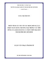 Luận văn thạc sĩ Phân tích các yếu tố tác động đến sự chọn ngân hàng thương mại trong vay tiêu dùng của khách hàng các nhân trên địa bàn TPHCM