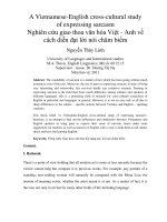 A Vietnamese-English cross-cultural study of expressing sarcasm