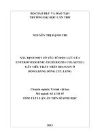 Xác định một số yếu tố độc lực của enterotoxigenic escherichia coli (ETEC) gây tiêu chảy trên heo con ở đồng bằng sông cửu long (TT)