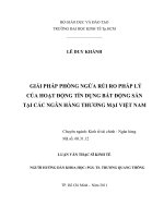 Giải pháp phòng ngừa rủi ro pháp lý của hoạt động tín dụng bất động sản tại các ngân hàng thương mại Việt Nam