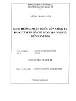 ĐỊNH HƯỚNG PHÁT TRIỂN CỦA CÔNG TY BẢO HIỂM TP. HỒ CHÍ MINH (BẢO MINH) ĐẾN NĂM 2010