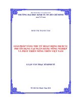 Giải pháp tăng thu từ hoạt động dịch vụ phi tín dụng tại Ngân hàng Nông nghiệp và Phát triển Nông thôn Việt Nam