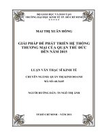 GIẢI PHÁP ĐỂ PHÁT TRIỂN HỆ THỐNG THƯƠNG MẠI CỦA QUẬN THỦ ĐỨC ĐẾN NĂM 2015.PDF