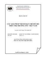 Các giải pháp nhằm hạn chế rủi ro trên thị trường OTC Việt Nam