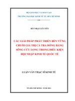 Các giải pháp phát triển bền vững chuỗi giá trị cá tra đồng bằng sông Cửu Long trong điều kiện hội nhập kinh tế quốc tế