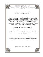 Ứng dụng hệ thống xếp hạng tín dụng doanh nghiệp nhằm hạn chế rủi ro tín dụng tại Ngân hàng thương mại cổ phần Ngoại Thương Việt Nam chi nhánh Phú Thọ