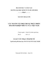 Các nguồn tài trợ cho sự phát triển doanh nghiệp nhỏ và vừa Việt Nam