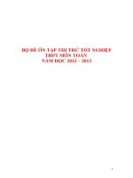BỘ ĐỀ ÔN TẬP THI THỬ TỐT NGHIỆP THPT MÔN TOÁN NĂM HỌC 2012 – 2013