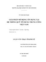 Giải pháp mở rộng tín dụng tại hệ thống quỹ tín dụng trung ương Việt Nam