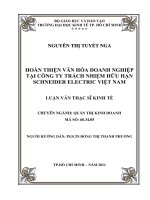 Hoàn thiện văn hóa doanh nghiệp tại Công ty trách nhiệm hữu hạn Schneider Electric Việt Nam