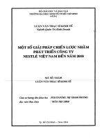 MỘT SỐ GIẢI PHÁP CHIẾN LƯỢC NHẰM PHÁT TRIỂN CÔNG TY NESTLE VIỆT NAM ĐẾN NĂM 2010
