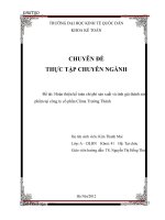 Hoàn thiện kế toán chi phí sản xuất và tính giá thành sản phẩm tại công ty cổ phần Clima Trường Thành