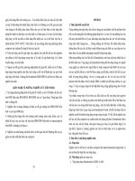 Nghiên cứu chế tạo và ứng dụng vật liệu composite Sợi carbon trên nền nhựa polyimid